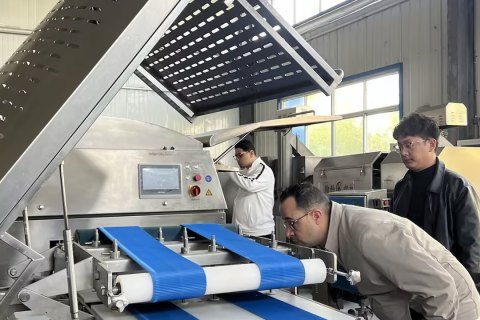 Meat Cutting Machine