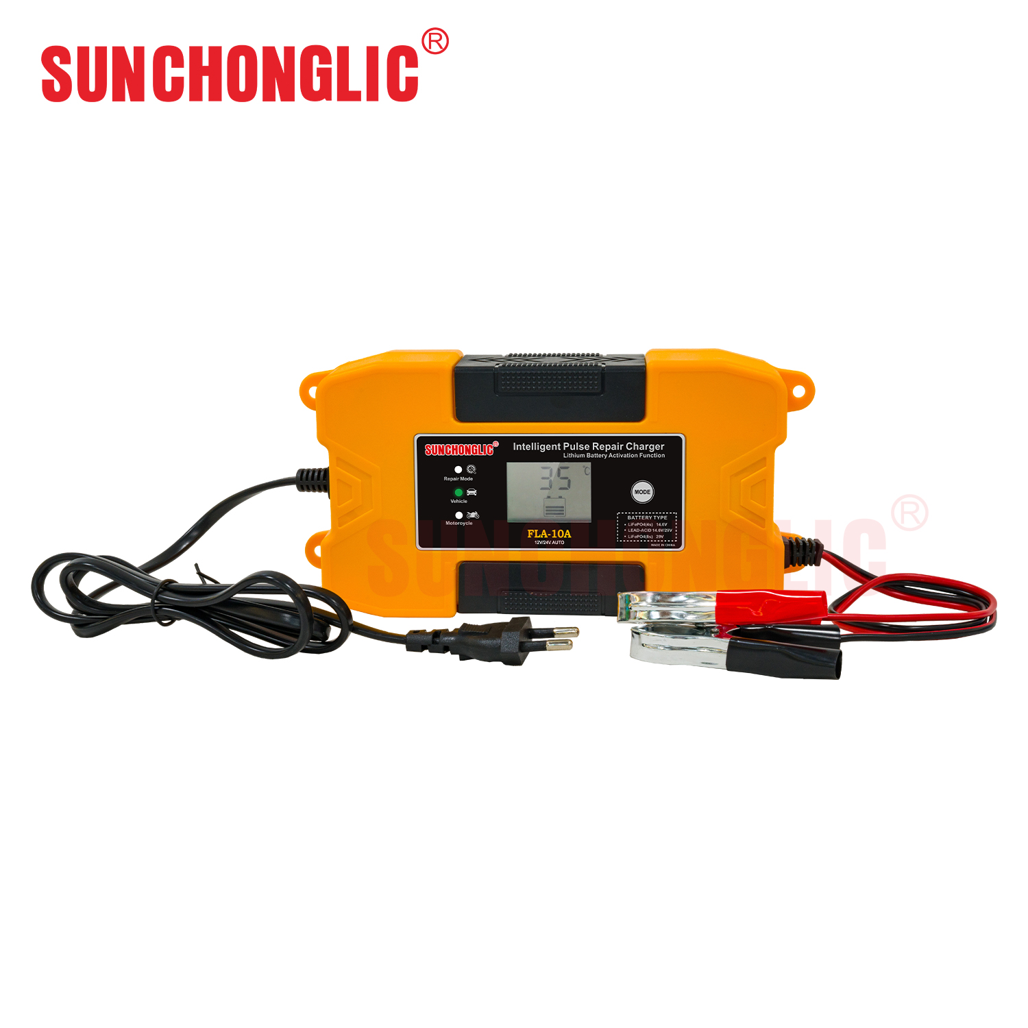 Wholesale sales 12V/24V 10A 20A lithium battery charger