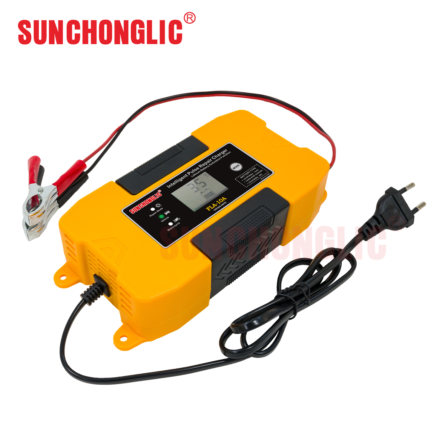 Wholesale sales 12V/24V 10A 20A lithium battery charger