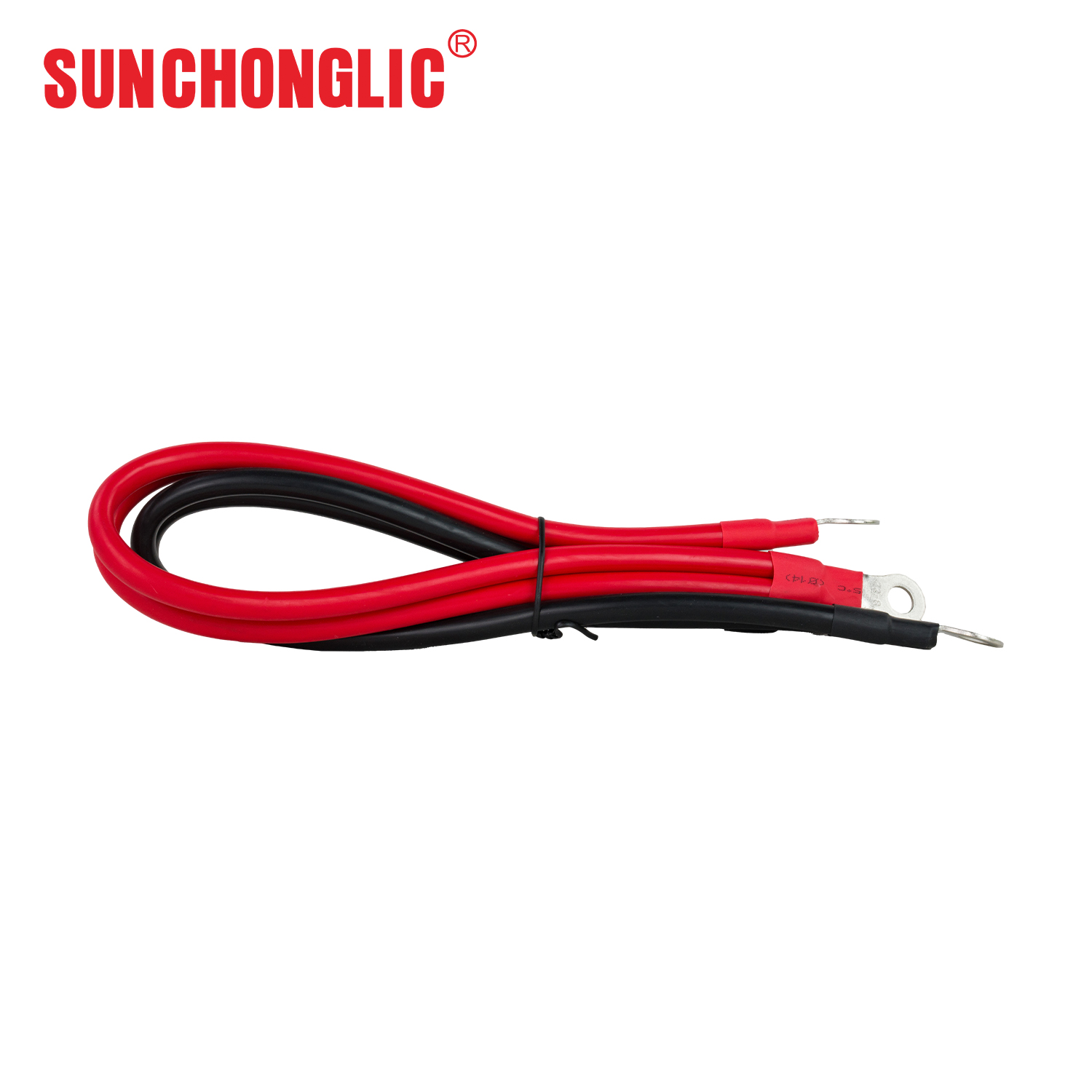 FPC 1200W High - Efficiency Pure Sine Wave Inverter Designed to Convert 12V DC to 220V AC with 50Hz Output