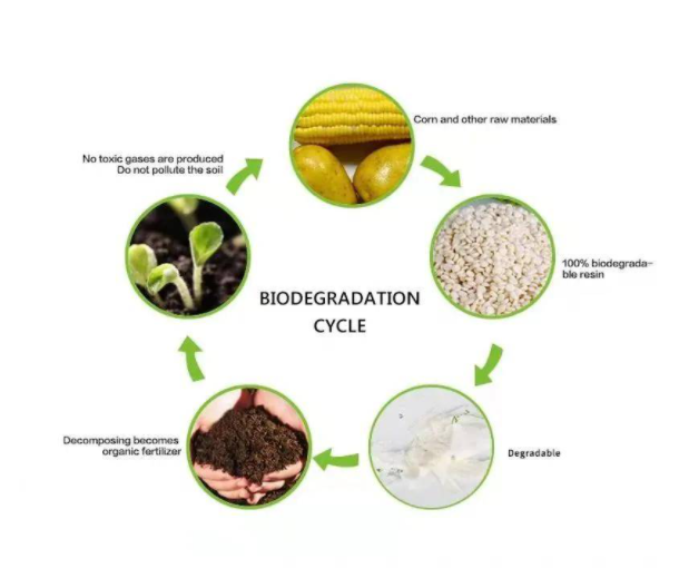 Pla Film Characteristic Application