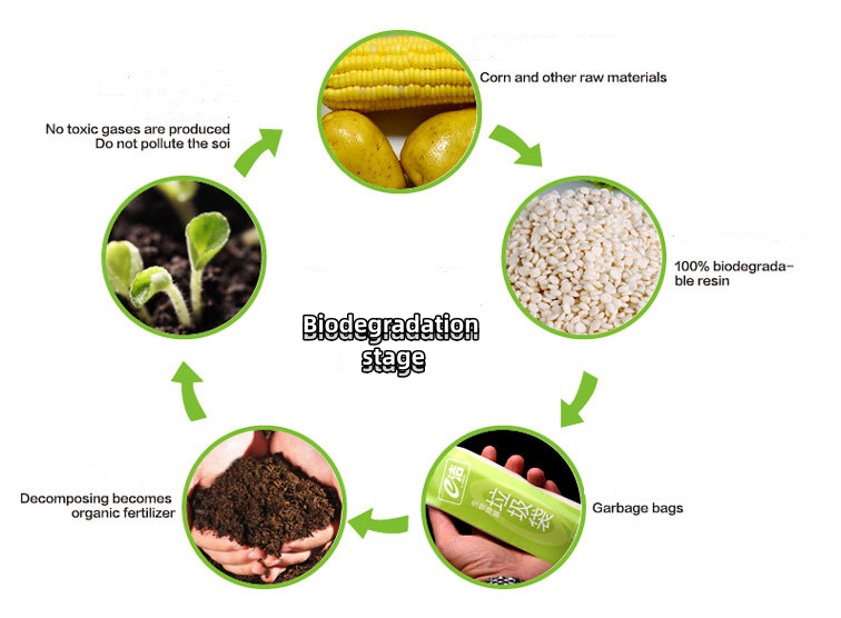 pbat biodegradable