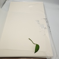 Printing Core And Overlayer Coated PLA Sheet For Cards
