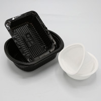 1 mm thermogeformte Polypropylen-Kunststoffplatte (PP)