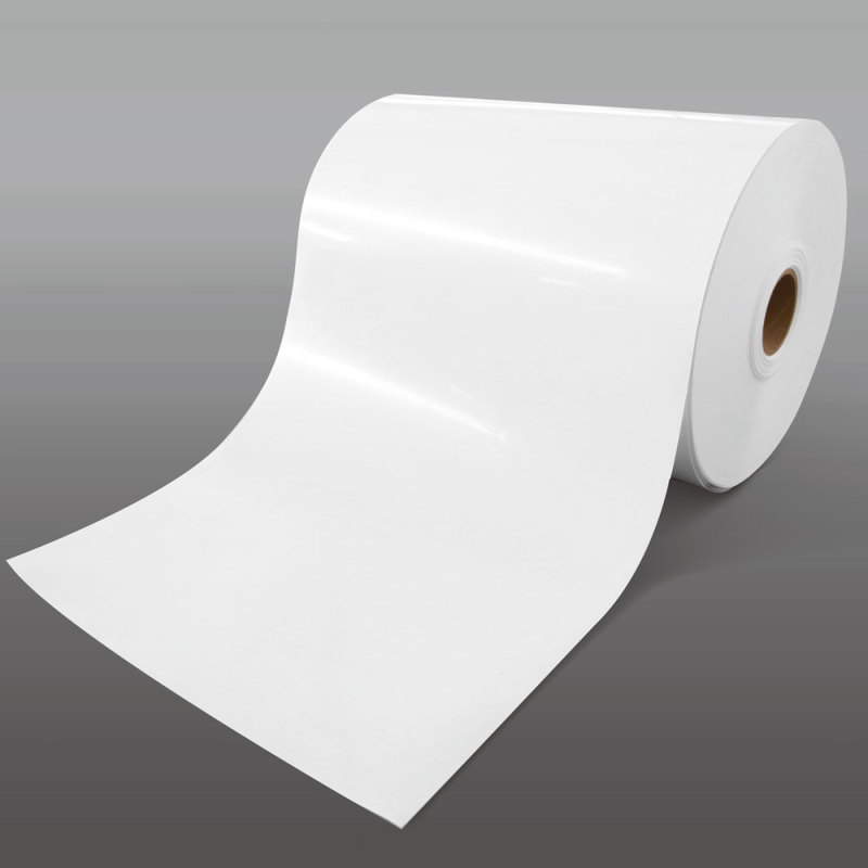 Feuille de flocage Rolls de picoseconde de HANCHES de 0.8mm pour le thermoformage