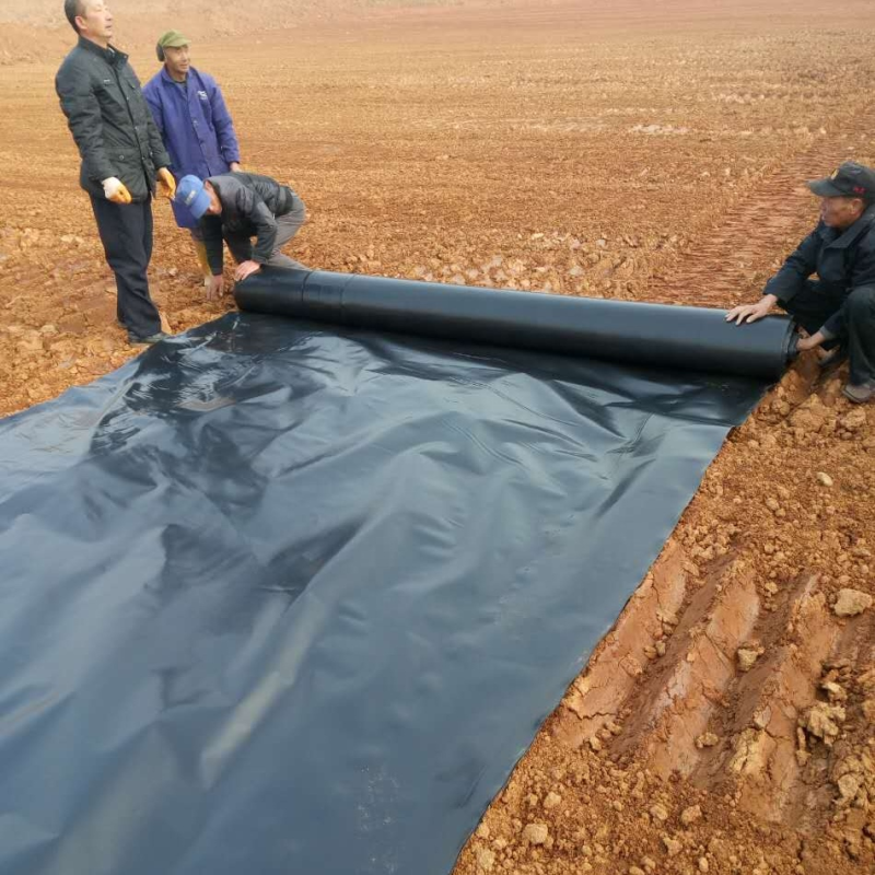 Emballage thermoscellable LDPE HDPE PE FILM flexible