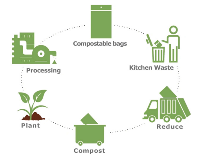 Biodegradable PLA Film