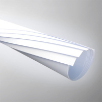 Feuille de flocage Rolls de picoseconde de HANCHES de 0.8mm pour le thermoformage