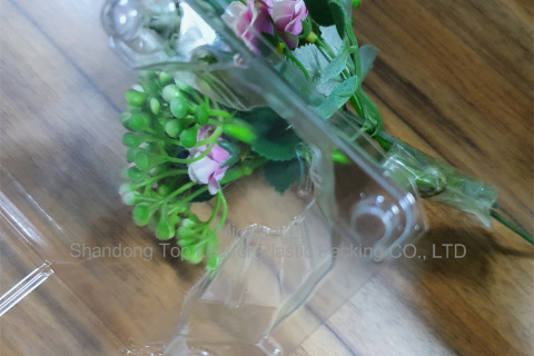 Transparenten PVC, PET pladenj za jajca, odebeljen in odporen na udarce