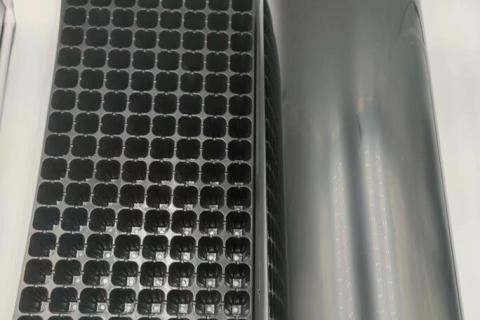 Quelles sont les propriétés physiques de la feuille PS ?