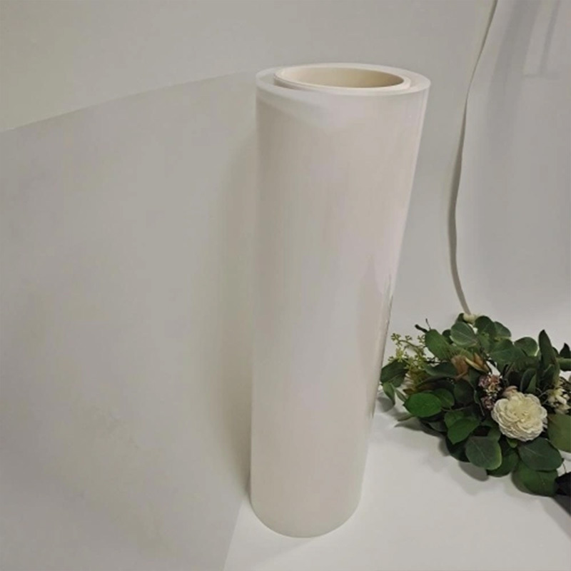 Thermoformage de film plastique rigide en polypropylène PP