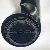 tấm polystyrene chịu va đập cao (HIPS)