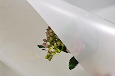 Emballage actif pour viande fraîche