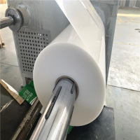 Bobine PP blanc laiteux pour blister, toute nouvelle feuille de polypropylène pour thermoformage