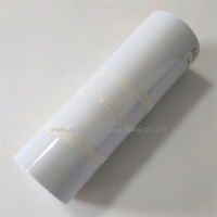 Feuille de PVC/PVDC blanche en plastique de premier plan