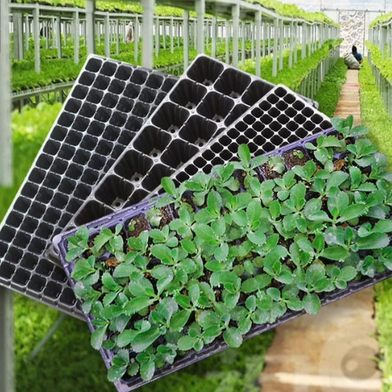 Začetni pladenj za seme PS Plastični pladenj za sajenje semen naprodaj