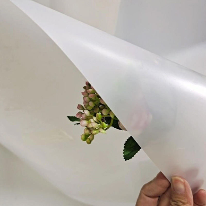 Tấm nhựa PP màng polypropylene dùng cho ép nhiệt