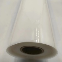 Feuilles de film plastique PP pour emballage formé sous vide