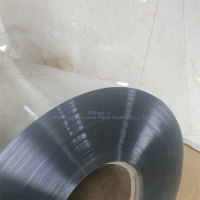 Feuille de PET vierge de 0,35 mm pour blister