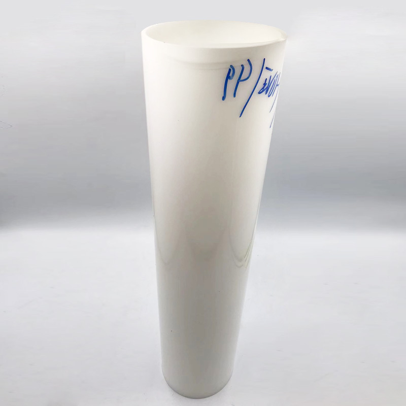 PP/EVOH/PP cho hộp đựng thực phẩm