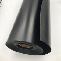 Film de feuille HIPS rigide noir pour emballage de plateau en plastique