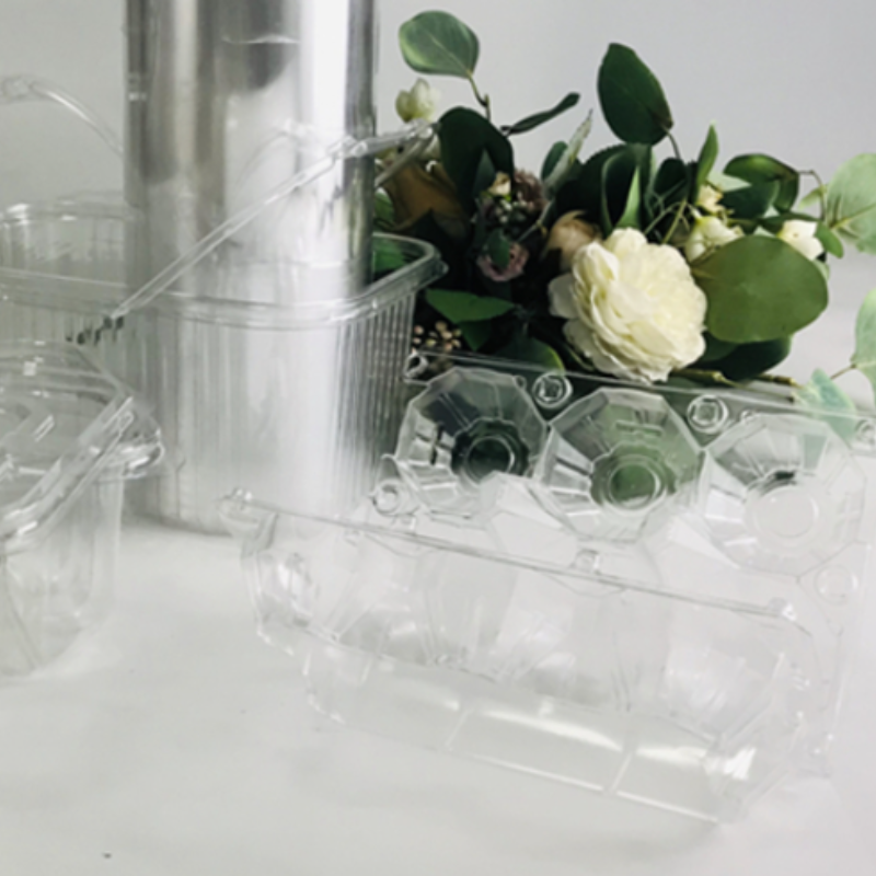 APET Plastic Food Tray Cake Packing Tray