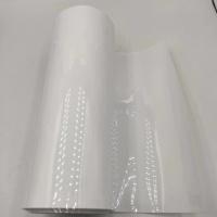 White PET Rigid Film for Thermoforming Fruit Packaging