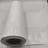 White PET Rigid Film for Thermoforming Fruit Packaging