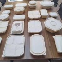Microwavable starch-based degradable food trays
