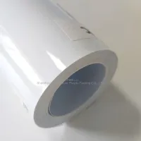 lembaran pvc legap putih untuk kapsul suplemen Kesihatan