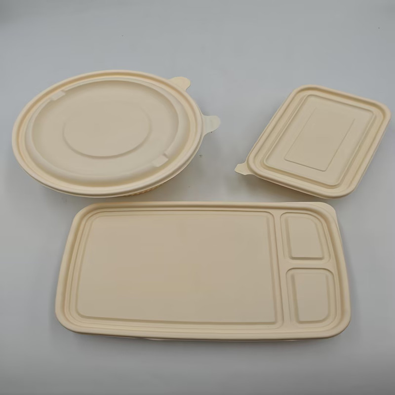 Boîte d'emballage de plats cuisinés jetables en plastique PP
