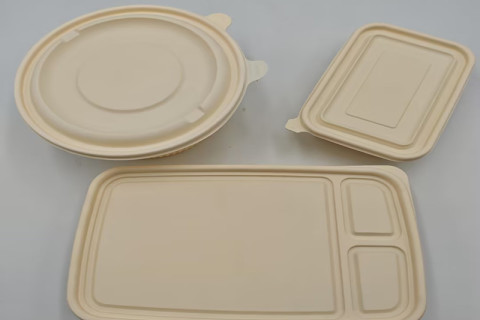 Caja de embalaje desechable de plástico PP
