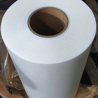 TL-PP-301PP Películas termoformadas Contenedor de alimentos PP