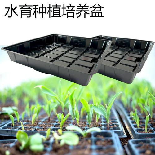 PS plastic material plant tray plant nursery seed tray