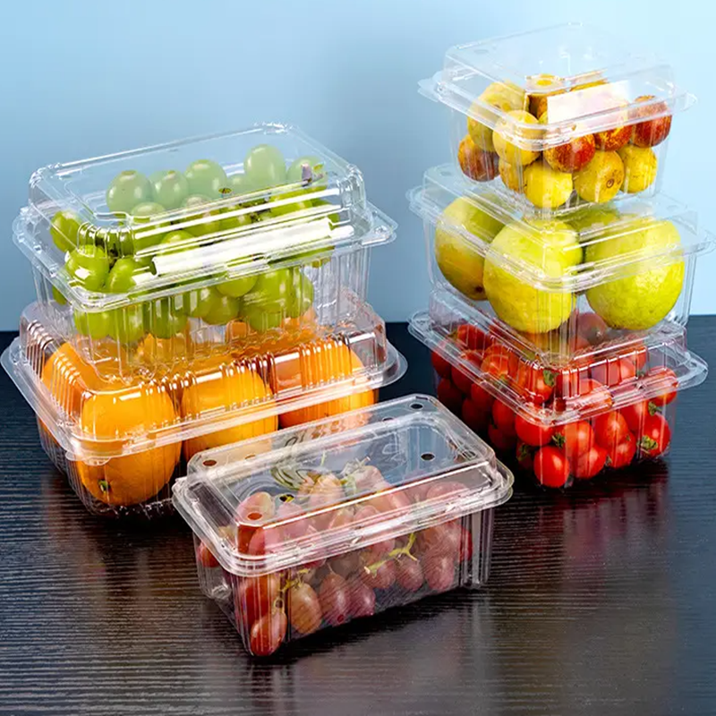 Boîte à fruits en plastique de plateau de sushi d'ANIMAL FAMILIER grande capacité