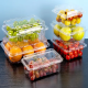 PET-sushibak Plastic fruitdoos Grote capaciteit