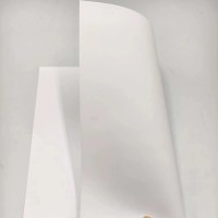 Feuille de film polycarbonate/PC mat brillant pour l'impression