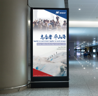 TL-PC-211 Plastic PC sheet/PC solid board sheet/PC decorative board