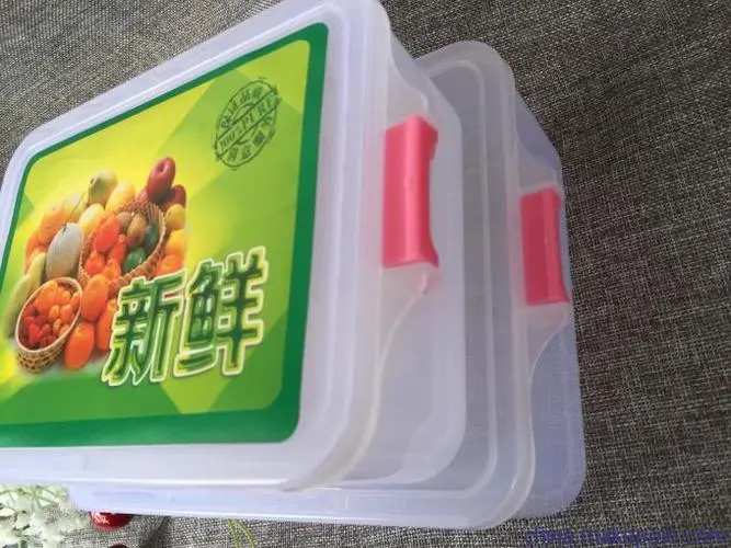 TL-PP-310PP THERMOFROMING PACKING FOR QUICK FREEZE