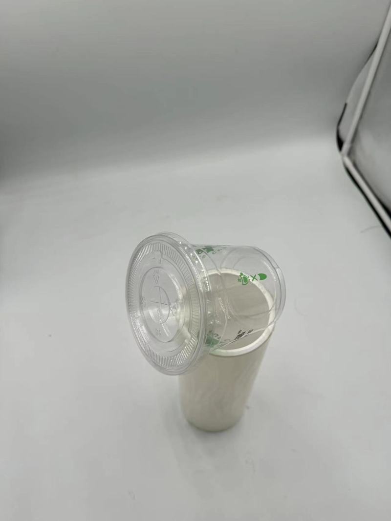 TL-PLA-801Biologisch abbaubare und kompostierbare PLA-Folie für Lebensmittelverpackungen