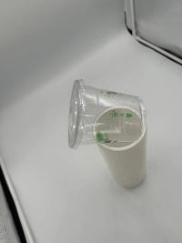 TL-PLA-801Biologisch abbaubare und kompostierbare PLA-Folie für Lebensmittelverpackungen