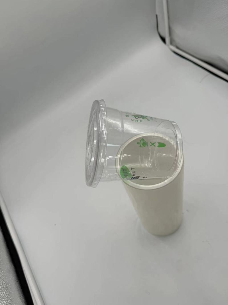 TL-PLA-801Biologisch abbaubare und kompostierbare PLA-Folie für Lebensmittelverpackungen