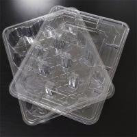 Caja de PET duro transparente de 9 compartimentos con tapa,