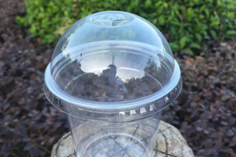 Bebidas geladas 16 onças 20 onças PLA copo de plástico transparente