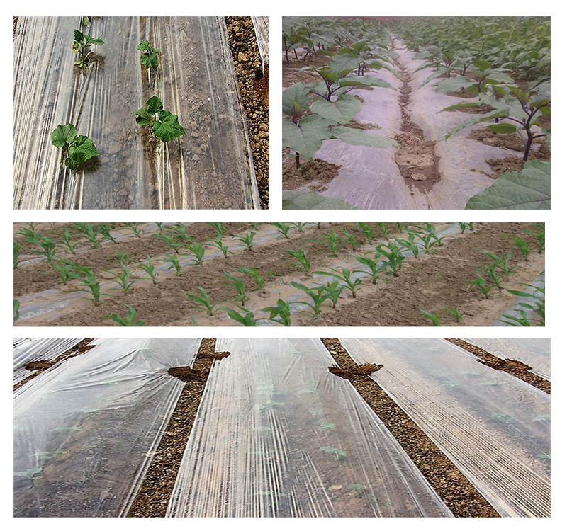 Membrane de protection PE TL-PE-701