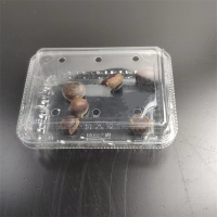 Hộp đựng trái cây PET nhiệt độ phòng