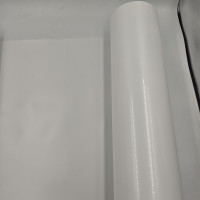 Film plastique PS d'emballage alimentaire de 0,25 mm