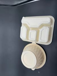 TL-PLA-804PLA-Folie für Blister zum Tiefziehen von Lebensmittelbehältern