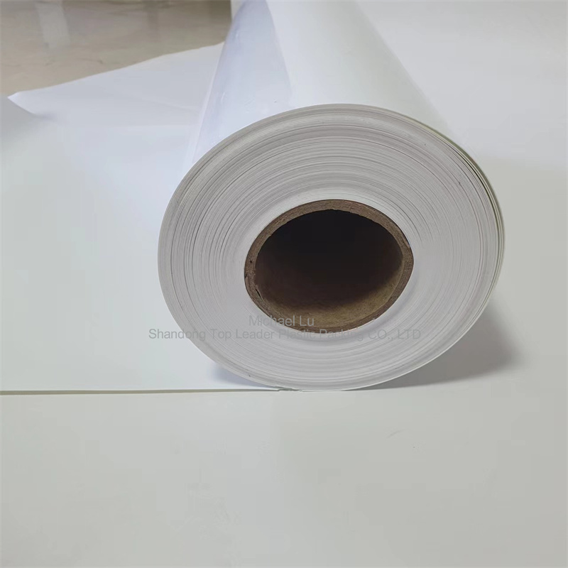white PS Polystyrene coil for thermoforming cup lid