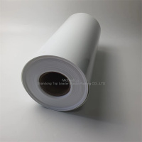 white PS Polystyrene coil for thermoforming cup lid